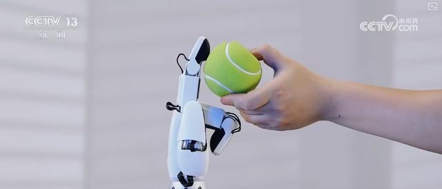 撸猫、喂养、夹豆腐，不在话下！人形机器人应用场景遍地开花 催生消费新业态