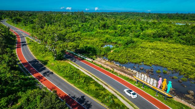 且以诗意共阳光！海南文旅融合绘就活力新画卷