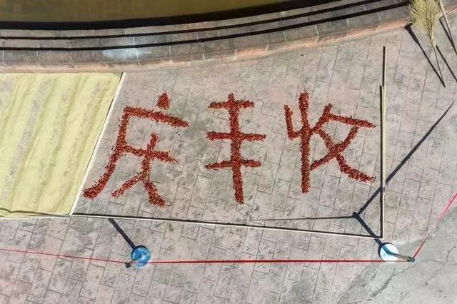 鲜嫩豆花迎国庆，满城丰收庆金秋 | 非遗四川·百城百艺 江门荤豆花文化旅游节等你来！
