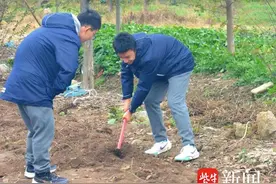 到田野里去！南京金中河西分校学子的农耕初体验图片