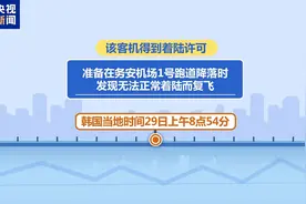 韩国客机悲剧：撞墙前六分钟接鸟情预警图片