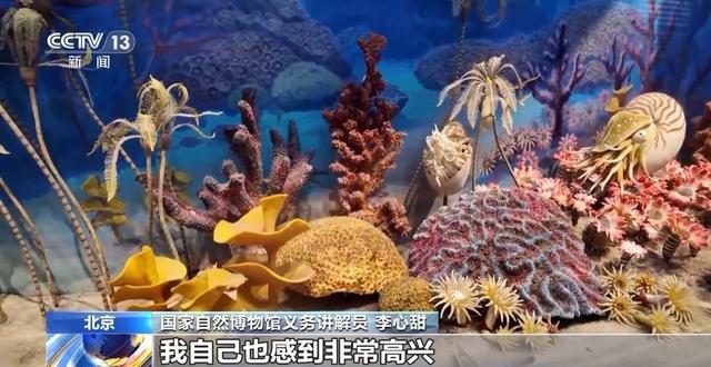 逛博物馆、探索自然……北京夏日奇妙夜 开启夜游新场景