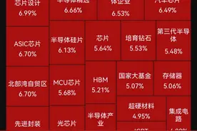 国产半导体芯片股，大涨图片
