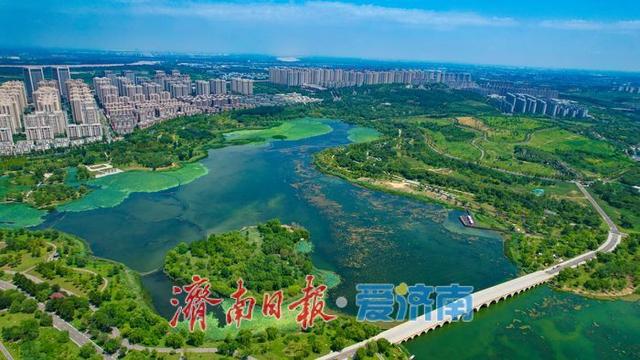暑气未消立秋至  华山湖绿意盎然生机无限