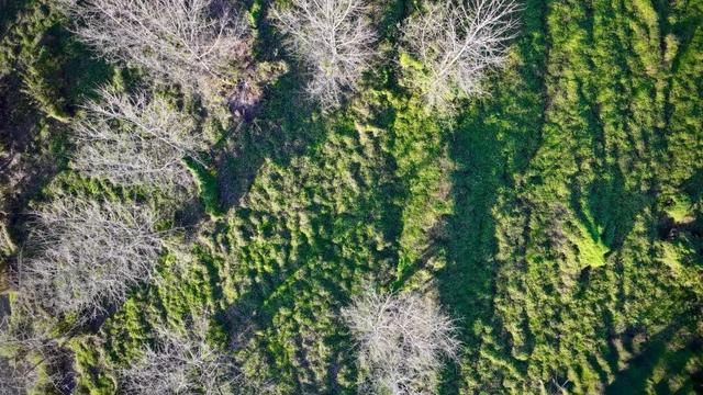 初冬，来大龙开发区遇见“限定暖阳”