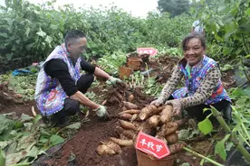 拼多多发布Q3财报，“百亿减免”效用显现，继续加大投入“新质供给”图片