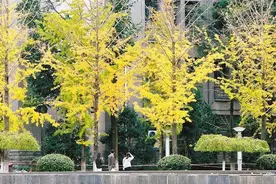 2023年陕西省教育事业发展统计公报：普惠性幼儿园共7150所图片