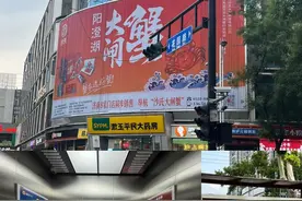 海量财经丨中秋市场提前探！梭子蟹仍占“C位” 北方大闸蟹9月上旬大量上市图片