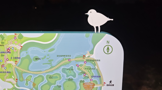 夜晚，我们在公园里“找宝藏”