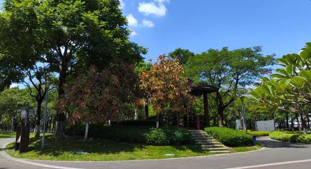 开学倒计时！抓住暑假“小尾巴”，用一场公园野餐给娃「充电」再出发！