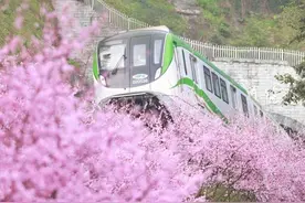 打卡“开往春天的列车”，要注意这些安全事项图片
