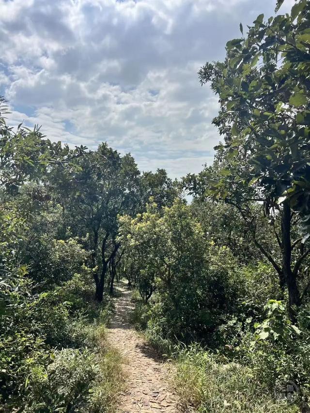 户外！户外！重要提醒