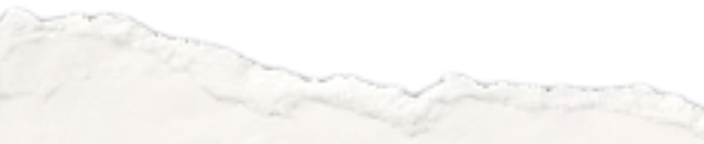 儿童友好嘉年华热力收官！中山市港口镇元旦文旅盛宴“圈粉”百万，激活亲子消费新热潮