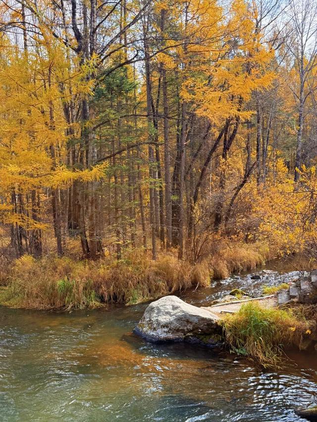假期闲记（三）