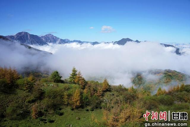武都千坝草原秋景如画 美不胜收