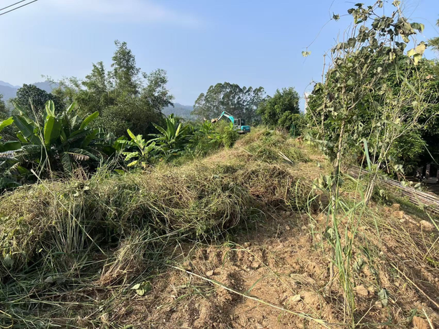 白沙村，更美了！