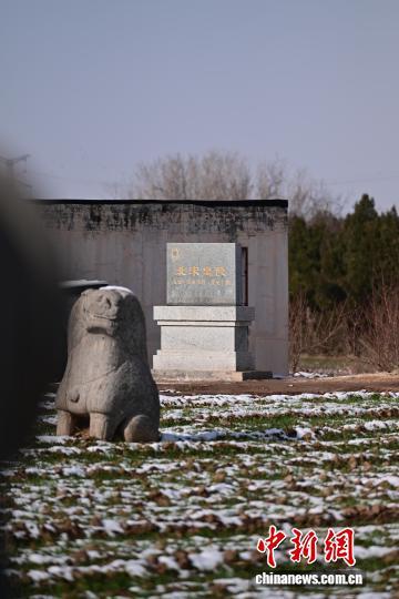 河南巩义宋陵冬景上新 小麦、初雪、石像生同框