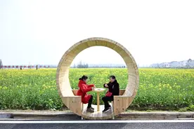 油菜花开春意浓图片
