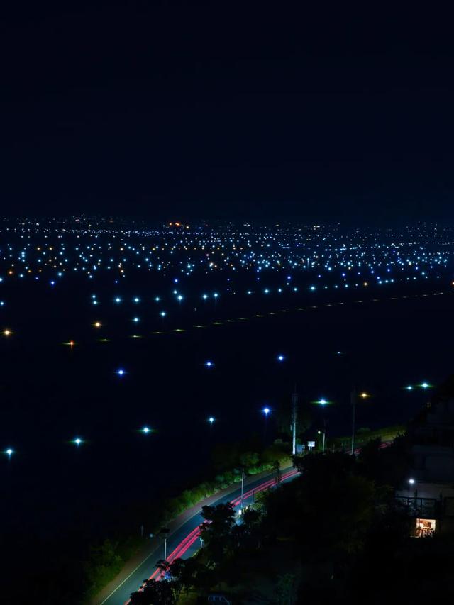随手一拍都是治愈画面，洱海“星河”来了