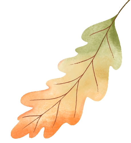 别眨眼！罗店马路秋色，一街一帧画正在限时上映