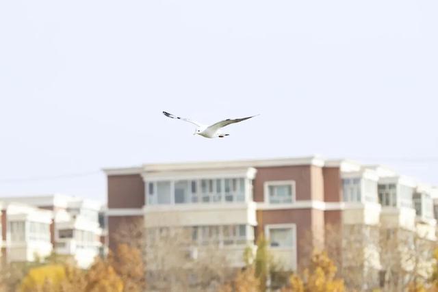 冬日喀什，一半诗意一半烟火！