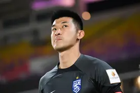 东体：韩鹏飞、刘殿座接近加盟成都蓉城，外援选择倾向放中前场图片