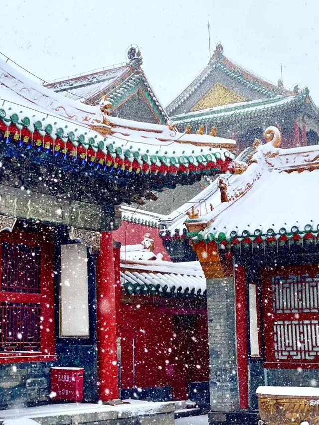 太美了！11月的沈阳，是这样的……