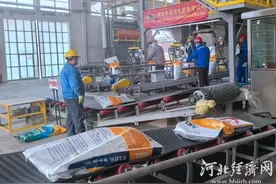 河北3300多万亩冬小麦返青顺利，壮苗占比91.5%图片