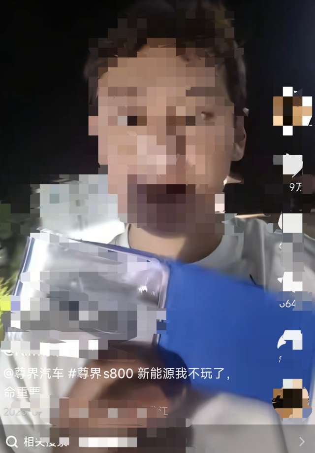 百万豪车“失速门”：一场精心策划的抹黑还是真实故障？