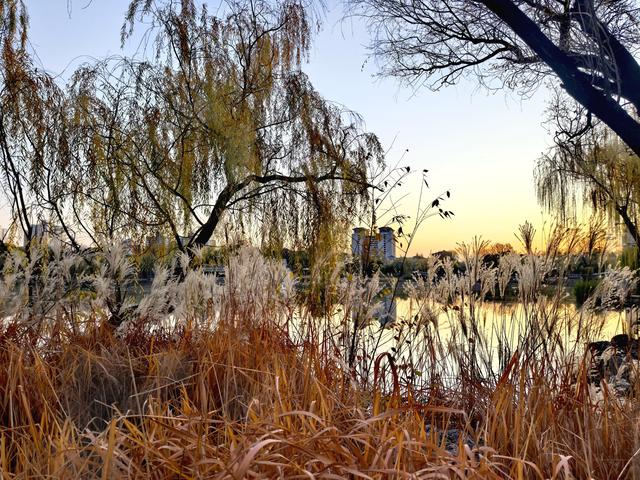 太美了！北京紫竹院如油画般梦幻