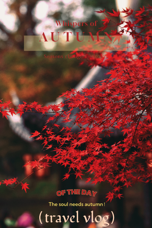 秋日美学暴击！正是赤橙黄绿时~