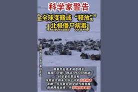 警惕！科学家最新警告：全球变暖，或释放北极“僵尸病毒”……图片