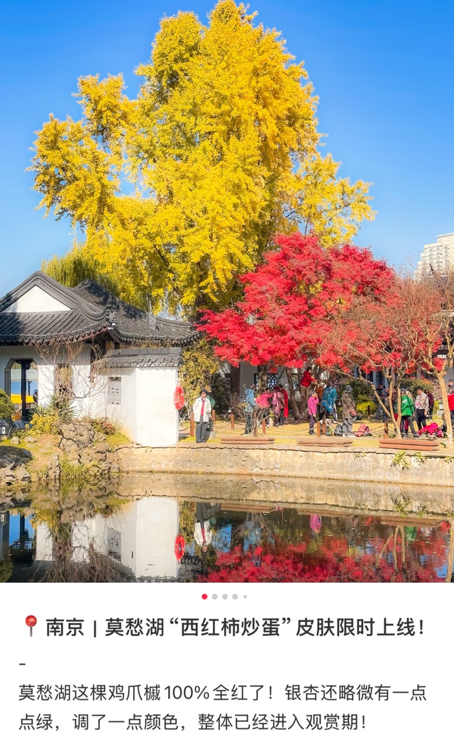 秋日特调！南京“西红柿炒蛋”皮肤已限时上线！