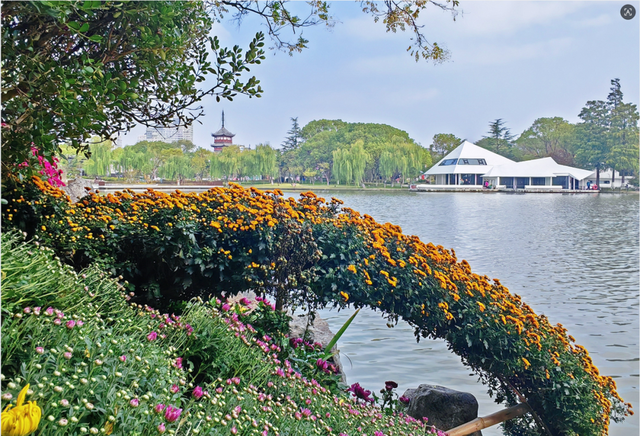 来了来了！南通秋天的仪式感