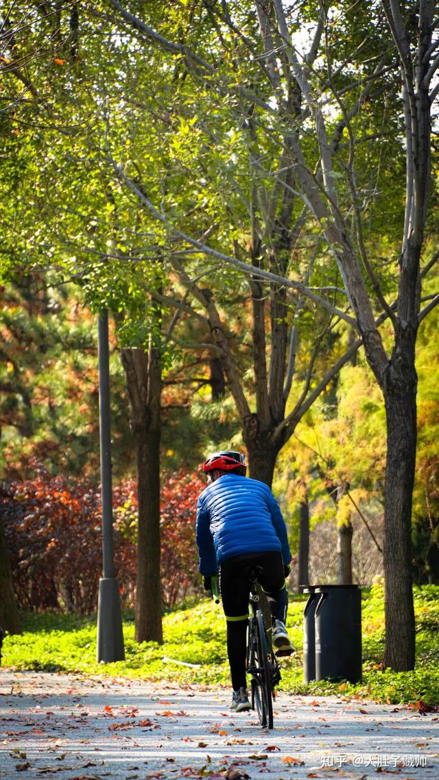 如何描述“北京的秋”？这是一期有温度的推送……