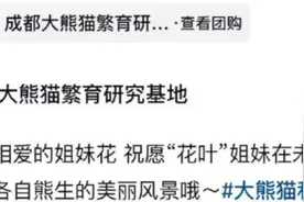 “顶流女团”官宣解散！原因找到了→图片