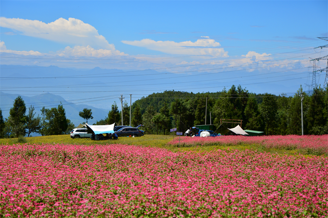 【跟着烧烤季游凉山】来凉山“躺营”，把烦恼丢进山谷的风里