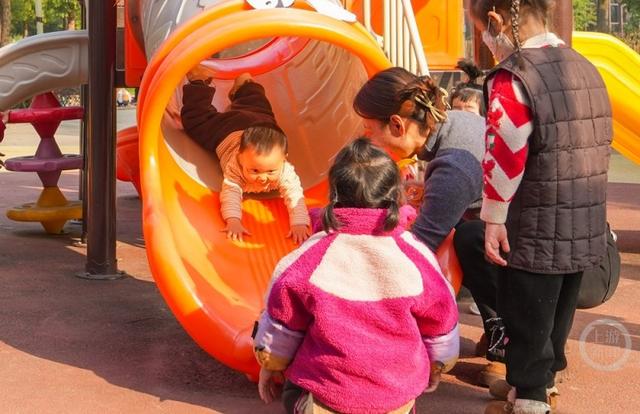 重庆垫江：蜡梅花开扮靓公园景色