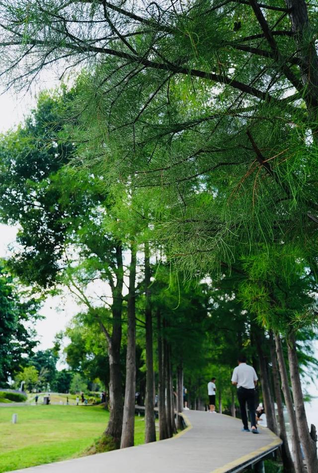 大理最治愈的129公里：这个夏天，在洱海边找到生活的解药