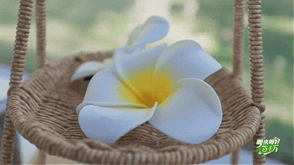 七星岩沉浸式打卡指南｜跟着走，解锁山湖秘境的深度玩法