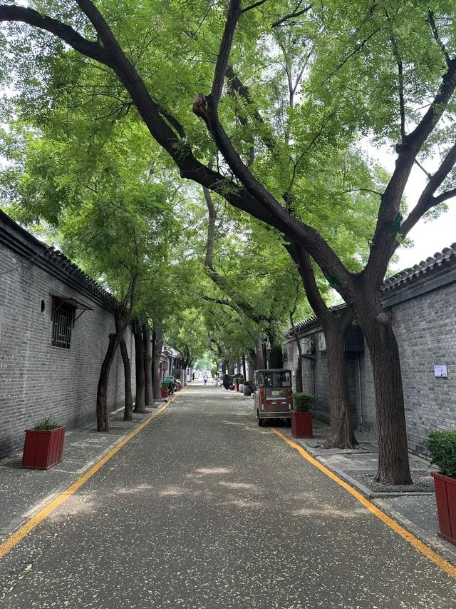 京彩夏日·北京范儿｜北京胡同潮玩指南，解锁老巷新体验！