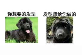 在广东的巴士上，还能剪发？图片