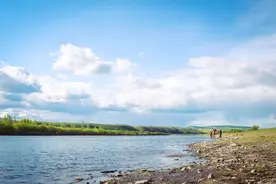 立秋后，每天吃点它，能很好地温补气血图片