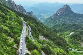 绩溪县荆州乡：当“皖浙天路”遇上“熊猫咖啡”图片