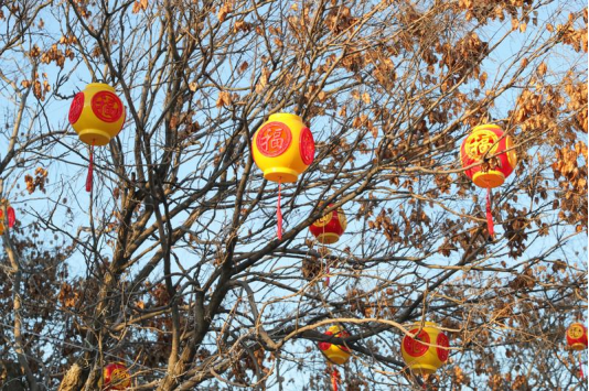 抢先看！马年迎春灯会布展正酣