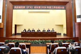 深度参与粤港澳大湾区建设！东莞凤岗加快建设融深发展先行区图片