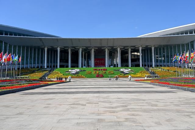 进博直击｜四叶草全面“定妆”，静待第八届进博会开幕