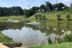 芜湖聚焦农村生活污水治理 实现监督检查全覆盖图片