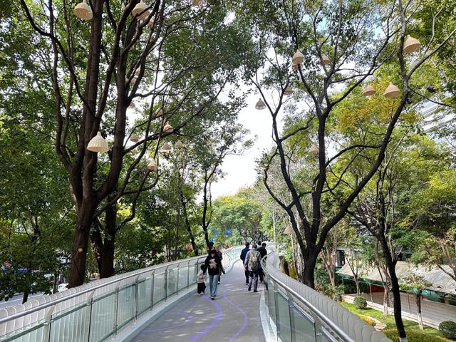 翠湖城市绿道开放 引市民游客热捧