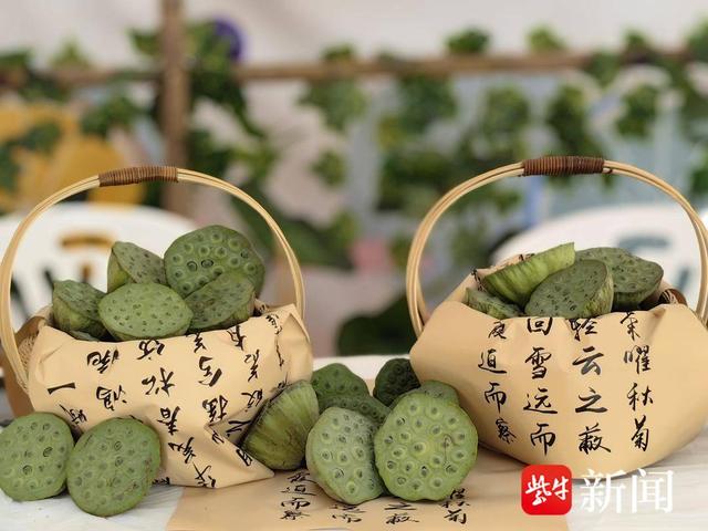 “金”夏盛荷 ——走进金湖荷花荡